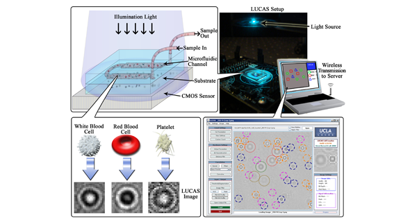 Towards Wireless Health: Lensless On-Chip Cytometry
