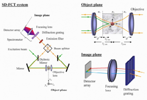 Image formation in fluorescence coherence-gated imaging through scattering media
