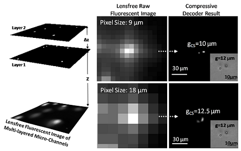 Lensfree wide-field fluorescent imaging on a chip using compressive decoding of sparse objects