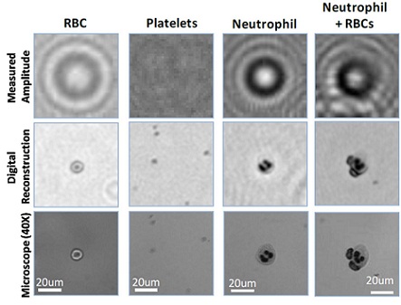 Lensfree on-chip holography facilitates novel microscopy applications