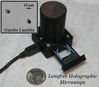 Detection of Waterborne Parasites using Field-portable and Cost-effective Lensfree Microscopy
