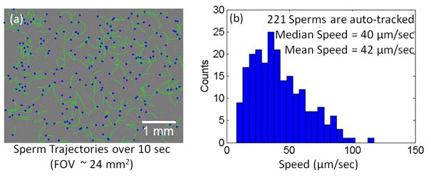 A Compact and Light-weight Automated Semen Analysis Platform using Lensfree On-Chip Microscopy