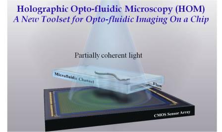 Holographic Opto-fluidic Microscopy