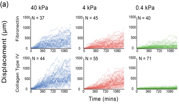 2014_scientific_methods_single_cell_motility