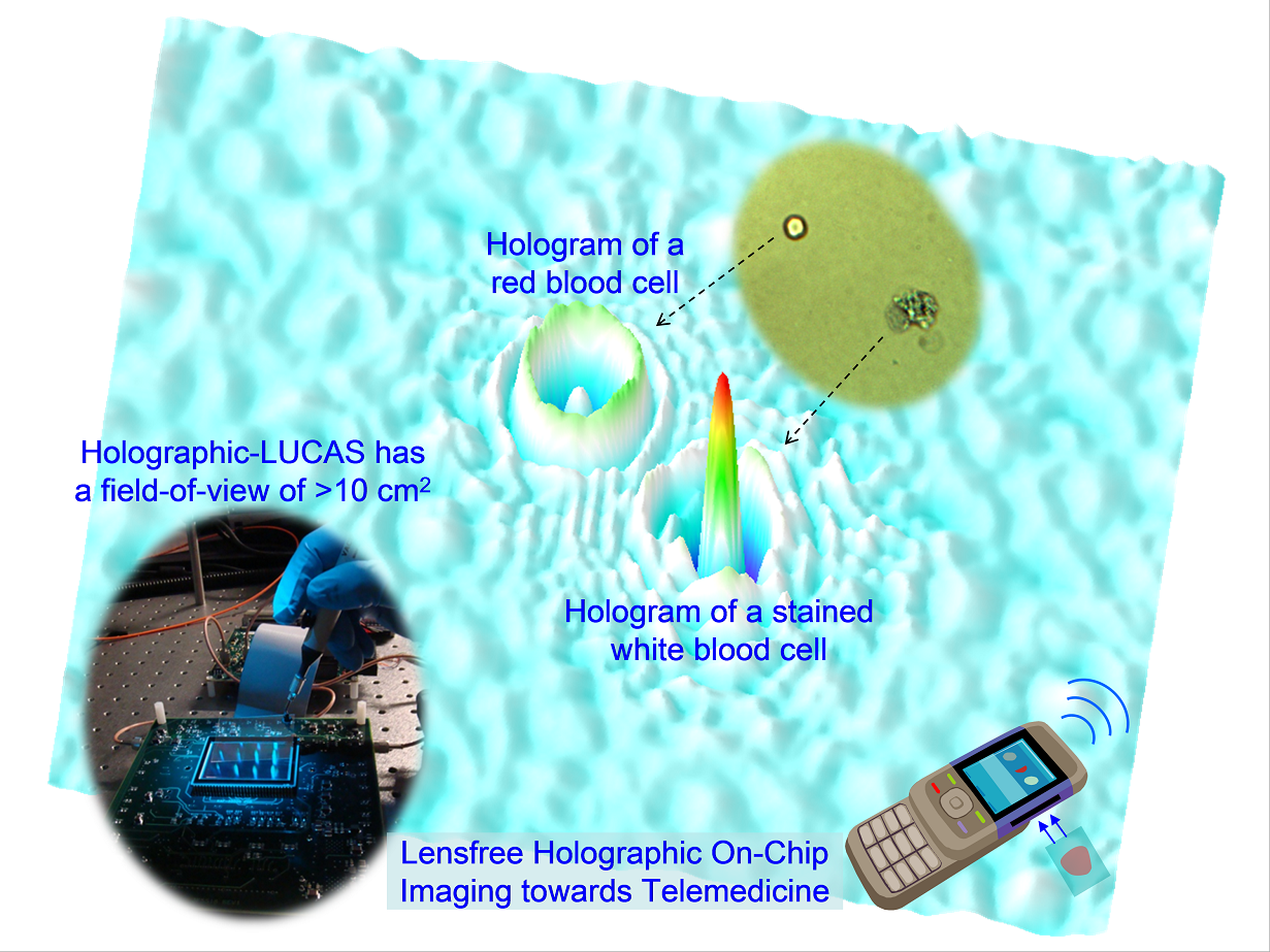 Lensfree Holographic Imaging for On-Chip Cytometry and Diagnostics