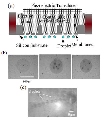 Picolitre acoustic droplet ejection by femtosecond laser micromachined multiple-orifice membrane-based 2D ejector arrays