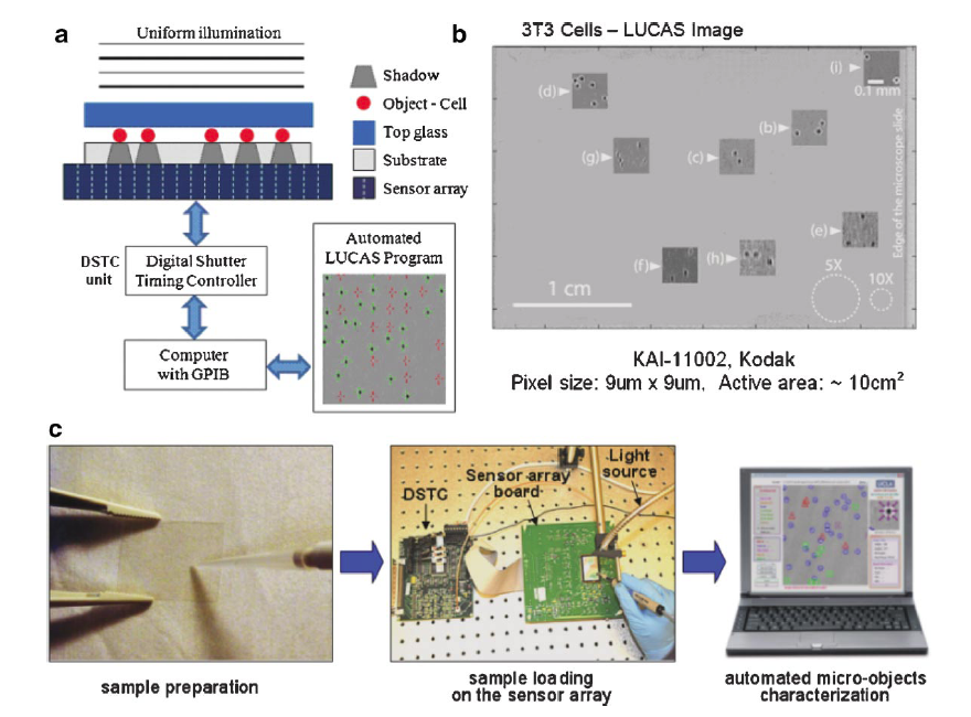 High-throughput Imaging and Characterization of a Heterogeneous Cell Solution On a Chip