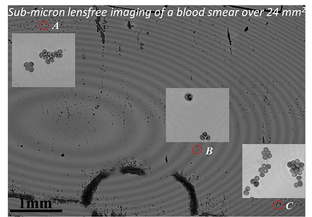 Lensfree on-chip microscopy over a wide field-of-view using pixel super-resolution