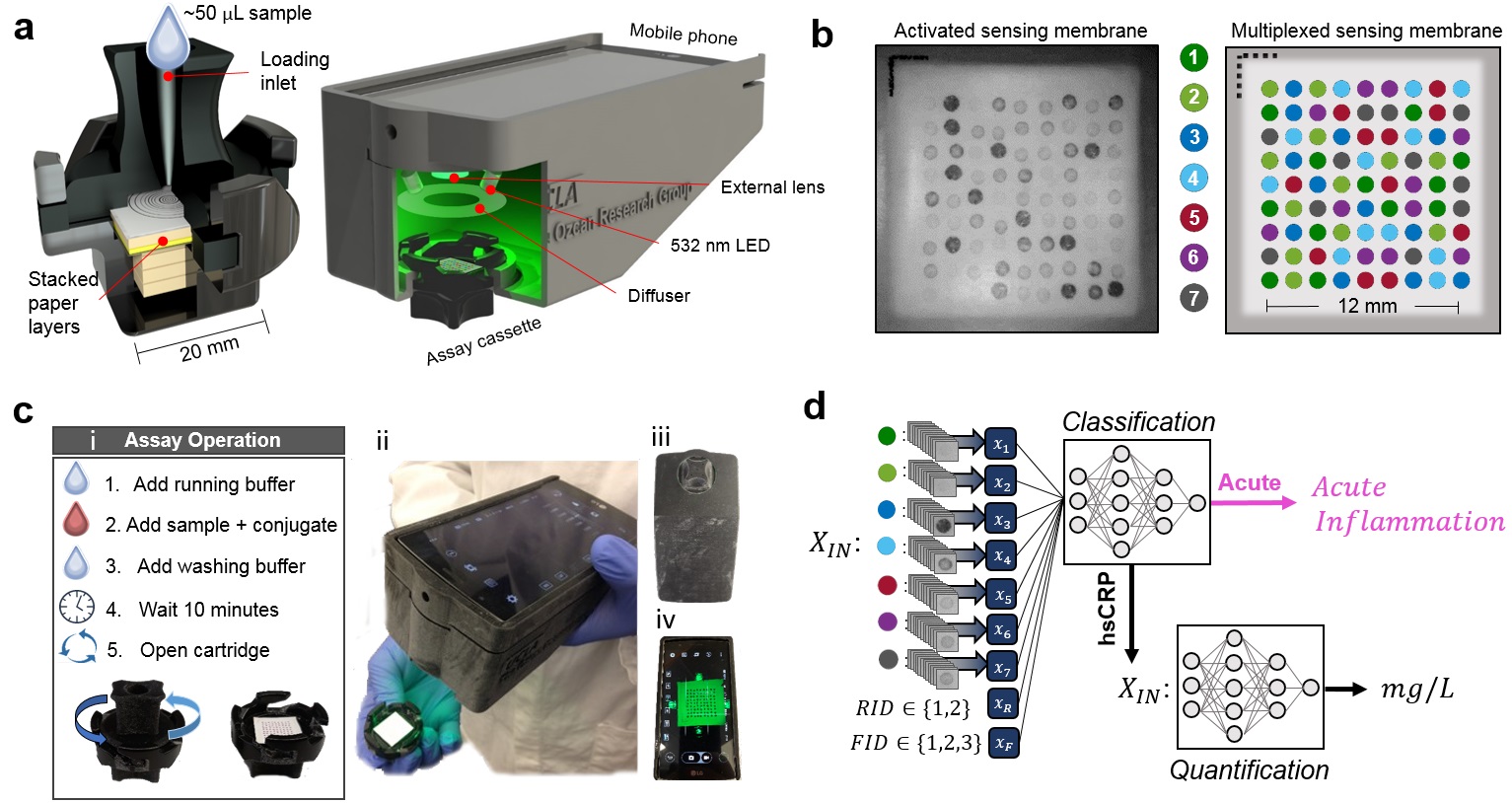 3D chromatographic fingerprint analysis of the CVM B307 by using