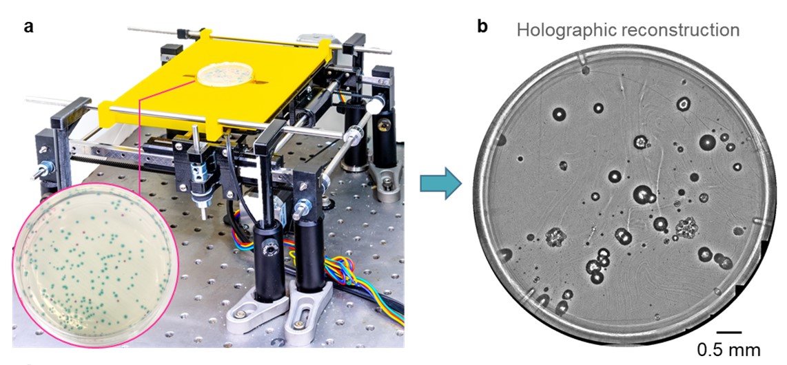 Paper-Assay